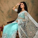 Embroidered Net Saree In Sky Blue price in bangladesh