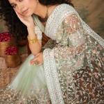 Embroidered Net Saree In Light Green price in bangladesh