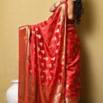 Woven Katan Silk Saree In Red price in bangladesh