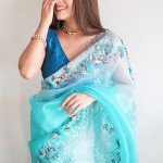 Pure Soft Organza Net Saree In Greenish-Blue price in bangladesh