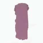 Topface Instyle Matte Lipstick Maroon Variant price in bangladesh