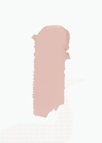 Topface Instyle Matte Lipstick Pink Variant  price in bangladesh