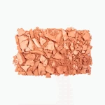 Topface Instyle Twin Blush On price in bangladesh