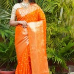 Orange Color Banarasi Saree price in bangladesh