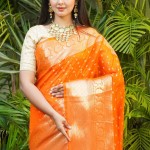 Orange Color Banarasi Saree price in bangladesh