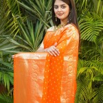 Orange Color Banarasi Saree price in bangladesh